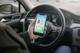 driver licence driver licence